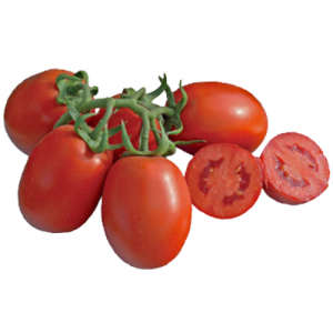 ЦХД (CXD) 265 F1 - томат детерминантный (Lark Seeds) фото, цена